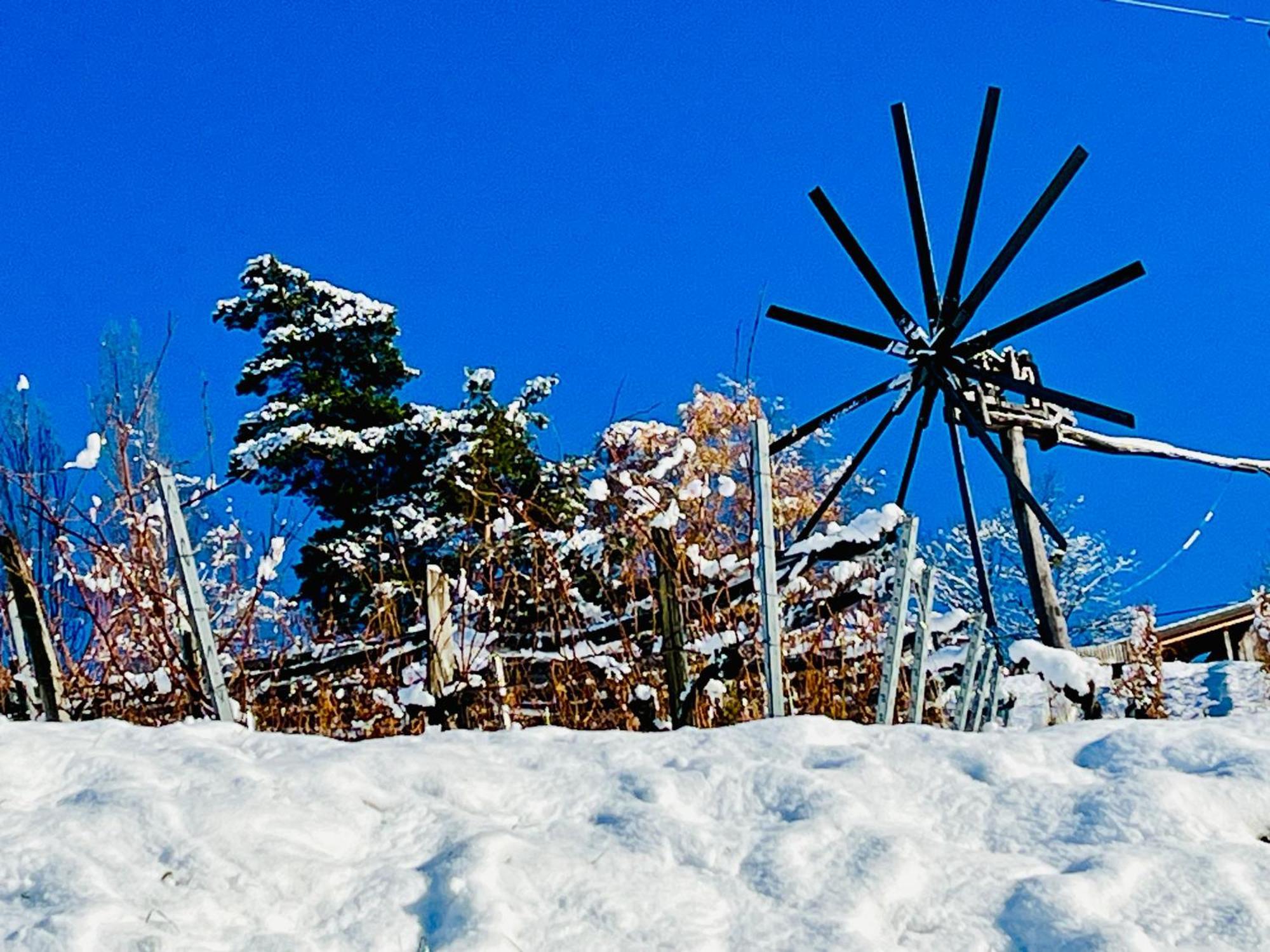 Ferienhaus Sausalblick Гросклайн Экстерьер фото